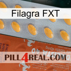 Filagra FXT 43